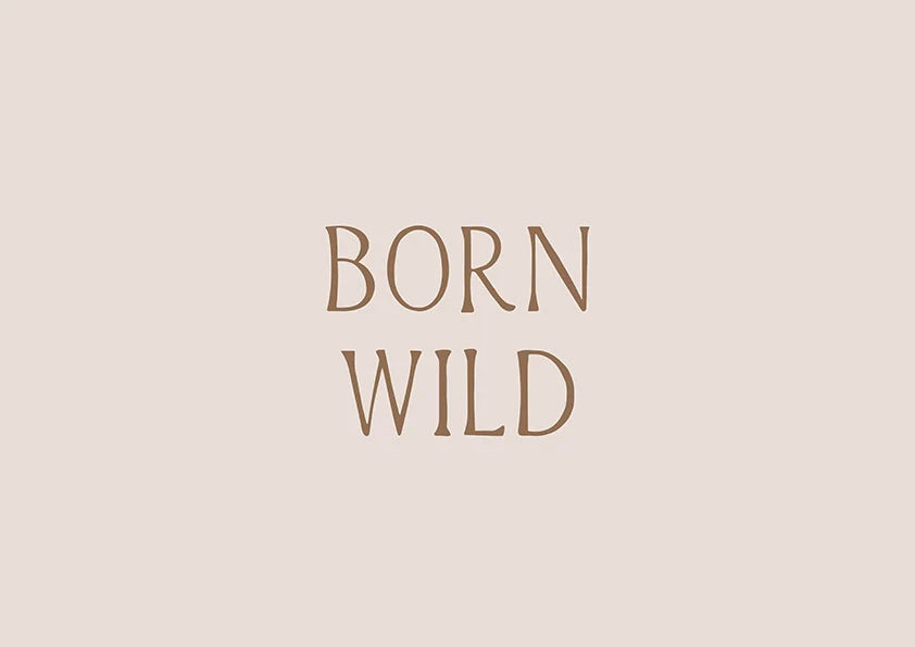 Born Wild Постер - Рисунки.бг 