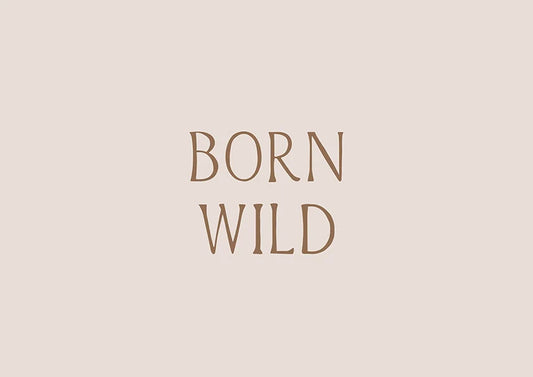 Born Wild Постер - Рисунки.бг 